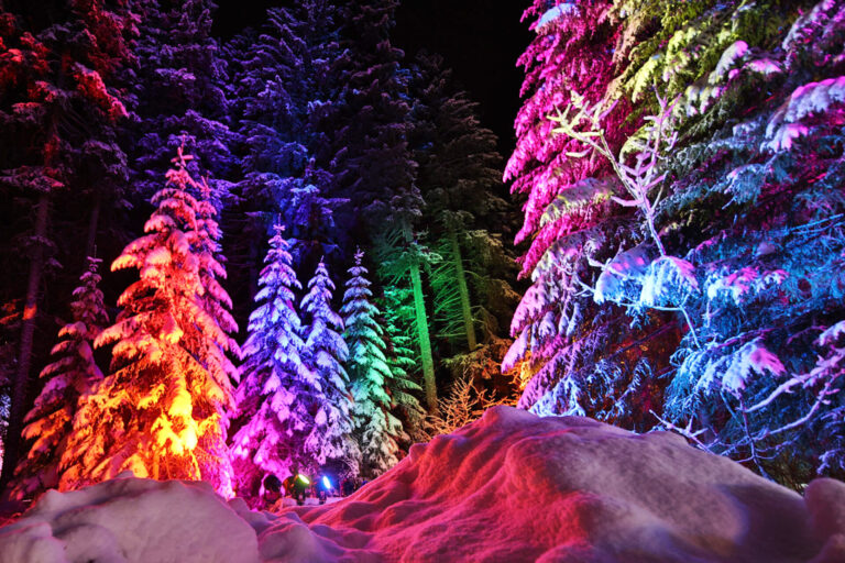 Das hochkarätige Lineup des Zauberwald Lenzerheide 2024 ist bekannt